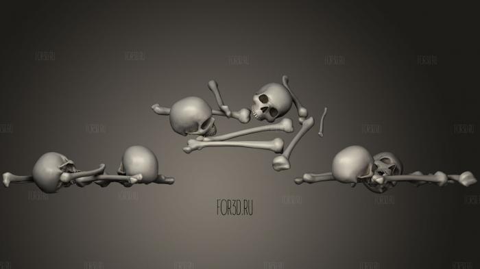 Human Bones Set1